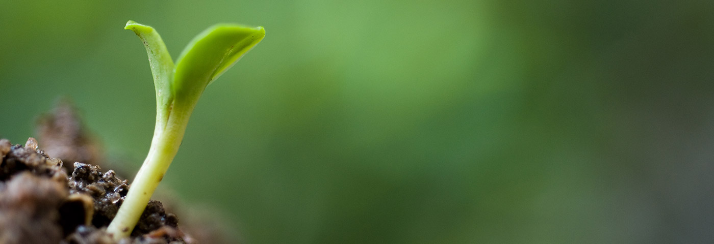 #2 Welcome to Belmont ... 